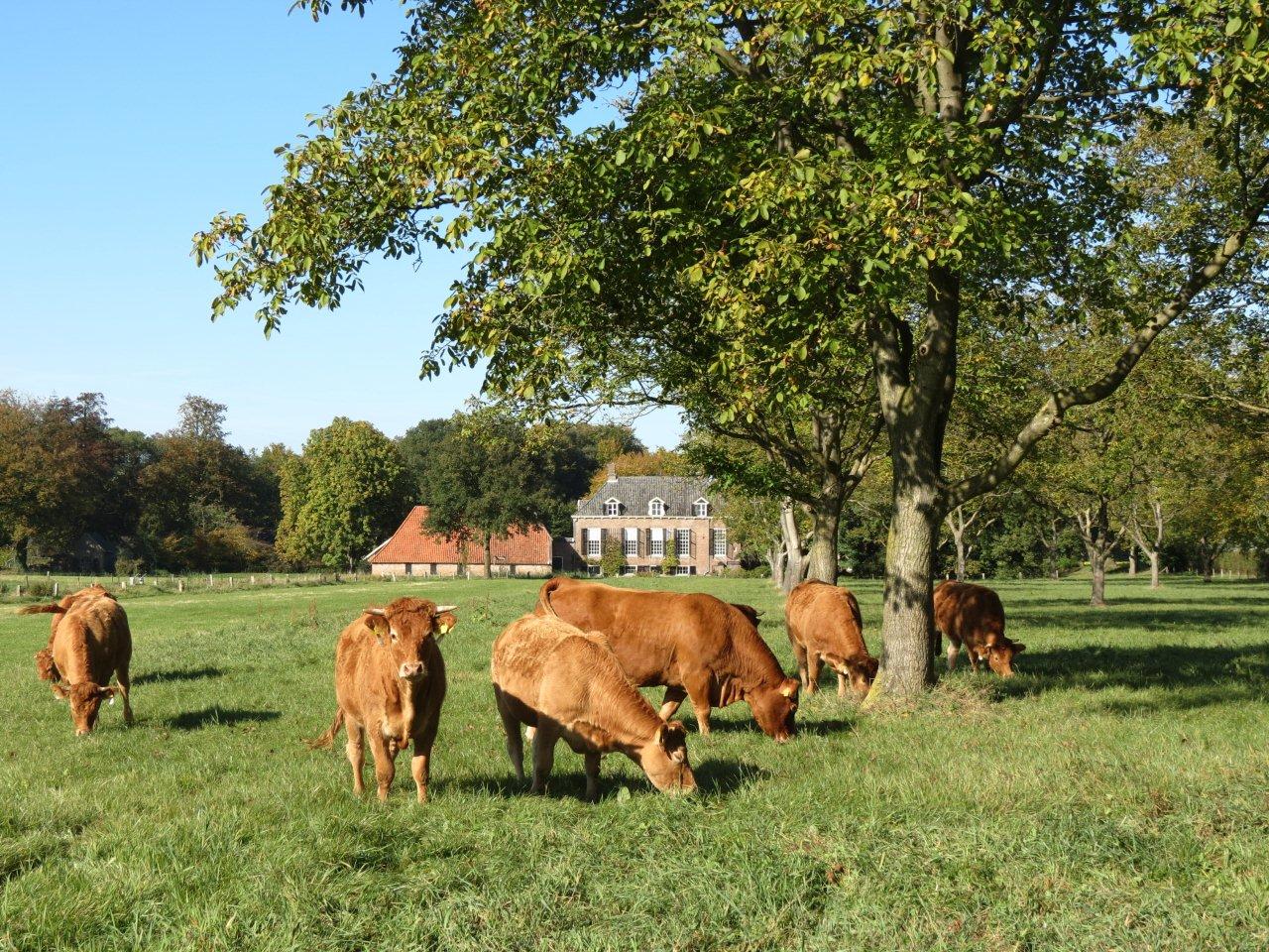 Achterhoek Alchetron, The Free Social Encyclopedia