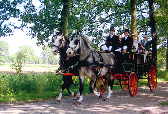 koets rit door de achterhoek